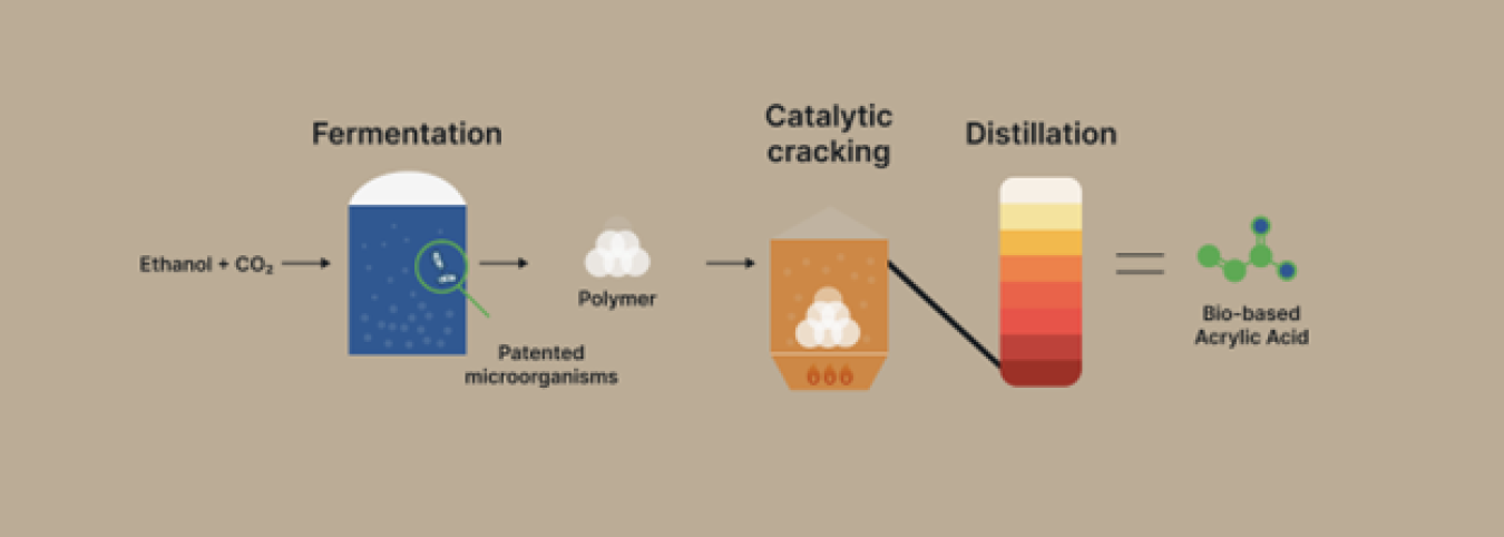 Graphic of Industrial Microbes process to convert ethanol and waste carbon dioxide into bio-based acrylic acid.